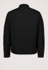 Quilted Jack