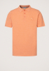 Willemsdorp Polo