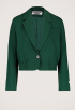 Zoe Blazer