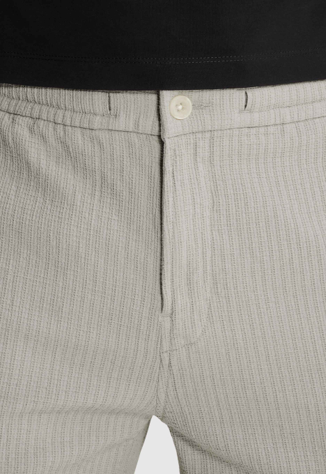 Regular Fit Chino Shorts