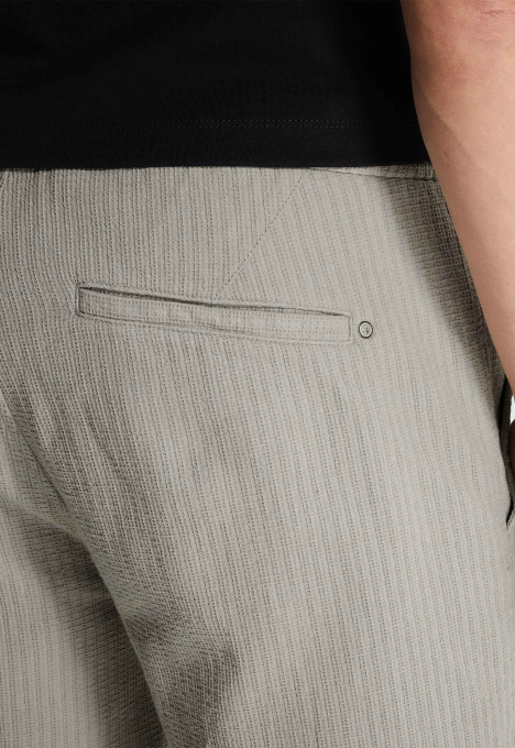 Regular Fit Chino Shorts