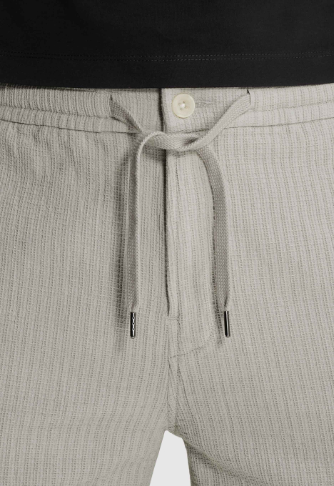 Regular Fit Chino Shorts