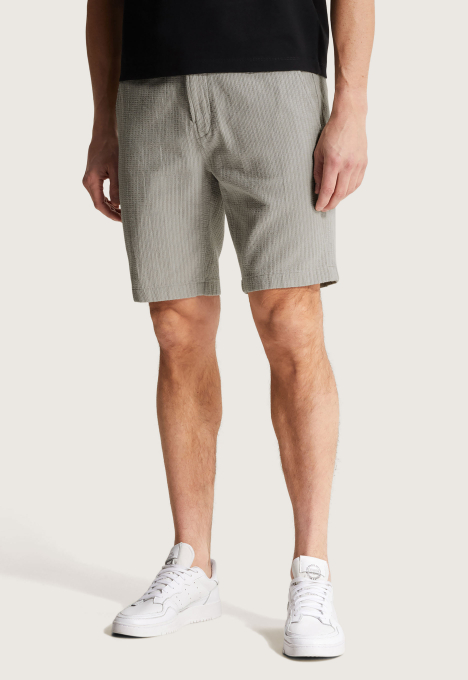 Regular Fit Chino Shorts