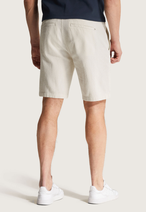 Regular Fit Chino Shorts