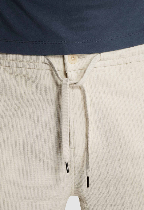 Regular Fit Chino Shorts