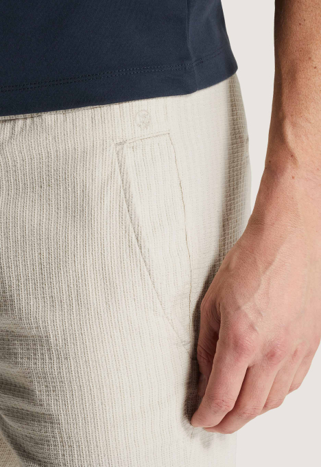 Regular Fit Chino Shorts