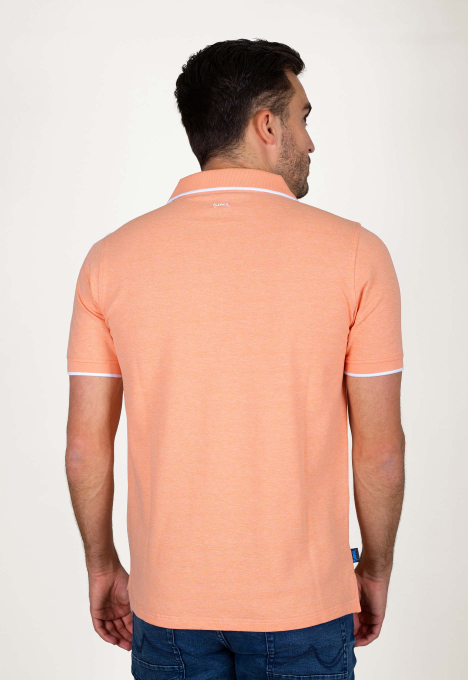 Stein Polo