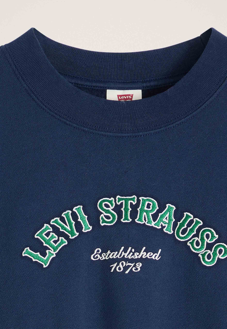 Vintage Boxy Sweatshirt Met Print