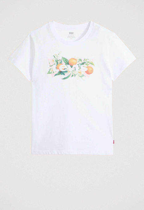 The Perfect T-shirt