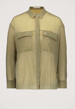 Sheer Chiffon Blouse
