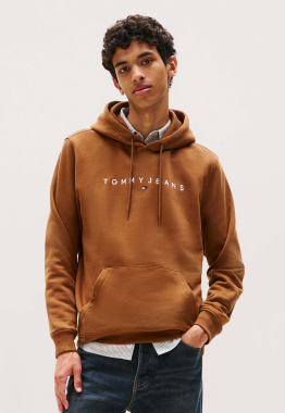 Regular Lineair Logo Hoodie