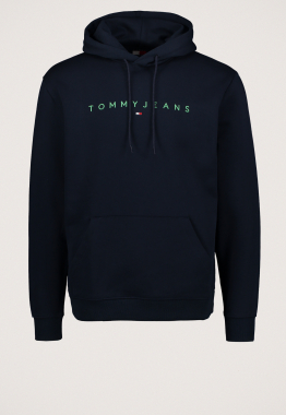 Regular Lineair Logo Hoodie