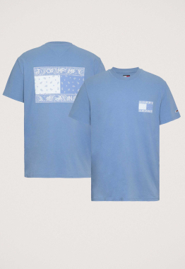 Paisley Flag T-Shirt