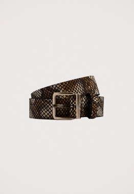 Ailey Riem