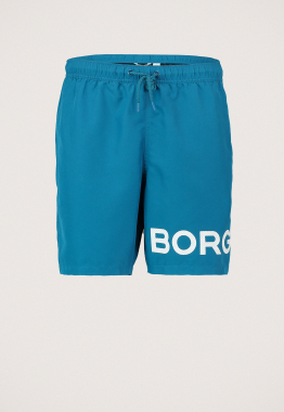 Borg Zwembroek