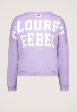 Brand Blocks Dropped Shoulder Sweater