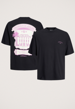 Santorini Graphic Crew T-shirt