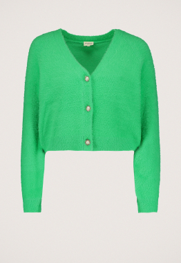Minne Vest