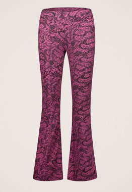 Abba Broek