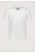Base V-neck T-shirt