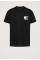 Paisley Flag T-Shirt