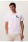 Grafisch Logo T-shirt