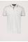Pike Polo 