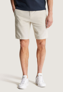 Regular Fit Chino Shorts
