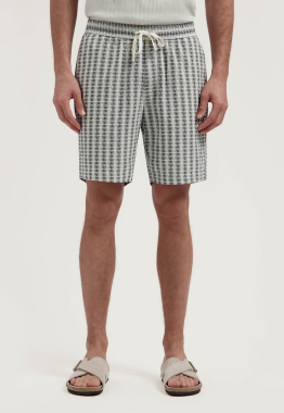 Logan Pinstriped Shorts