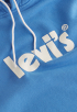 T2 Relaxed Graphic Po Hoodie
