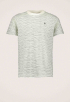 Fitch Stripe T-shirt