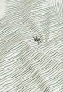 Fitch Stripe T-shirt