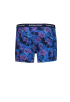 Sammy 3-pack Boxershorts