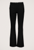 Tanny Broek
