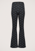 Abba Broek