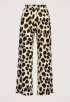 Nova Broek