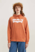 Graphic Standard Hoodie Sweater