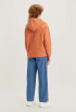 Graphic Standard Hoodie Sweater