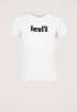 The Perfect T-shirt