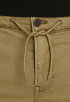 PTR2508624 Expedizor Colored Cargo