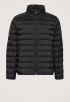 Nylon Hooded Puffer