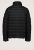 Nylon Hooded Puffer