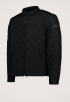Quilted Jack
