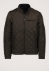 Quilted Jack
