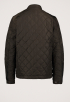 Quilted Jack