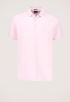 Connor Polo
