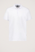 Connor Polo