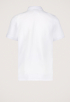 Connor Polo