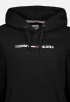 DW0DW08972 Logo Hoodie