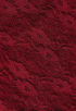 Noe Lace High Neck Top